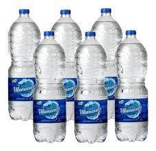 Agua x 2 lts - Villamanaos